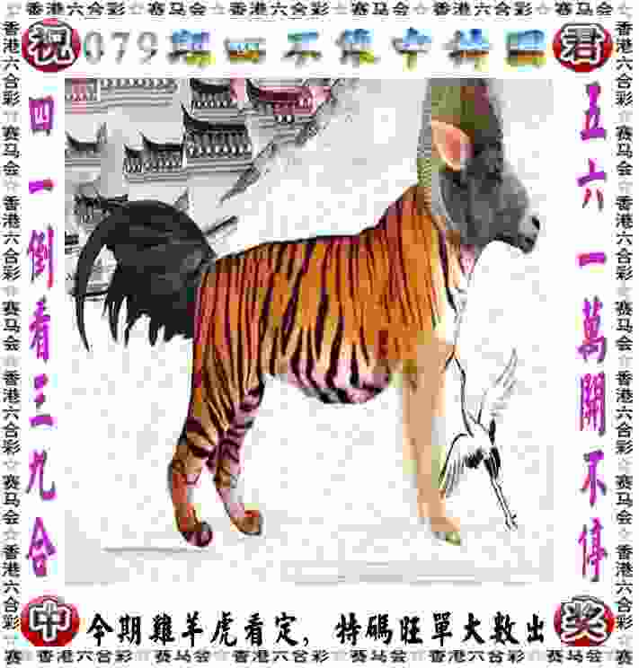 文一男篮“喜提”悍将 随队征战2019赛季NBL联赛